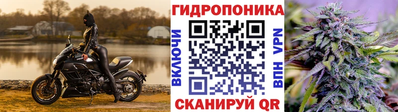 Каннабис Amnesia  Купить  Северобайкальск 